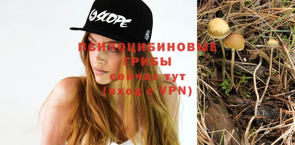 тгк Балахна