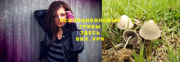 тгк Балахна